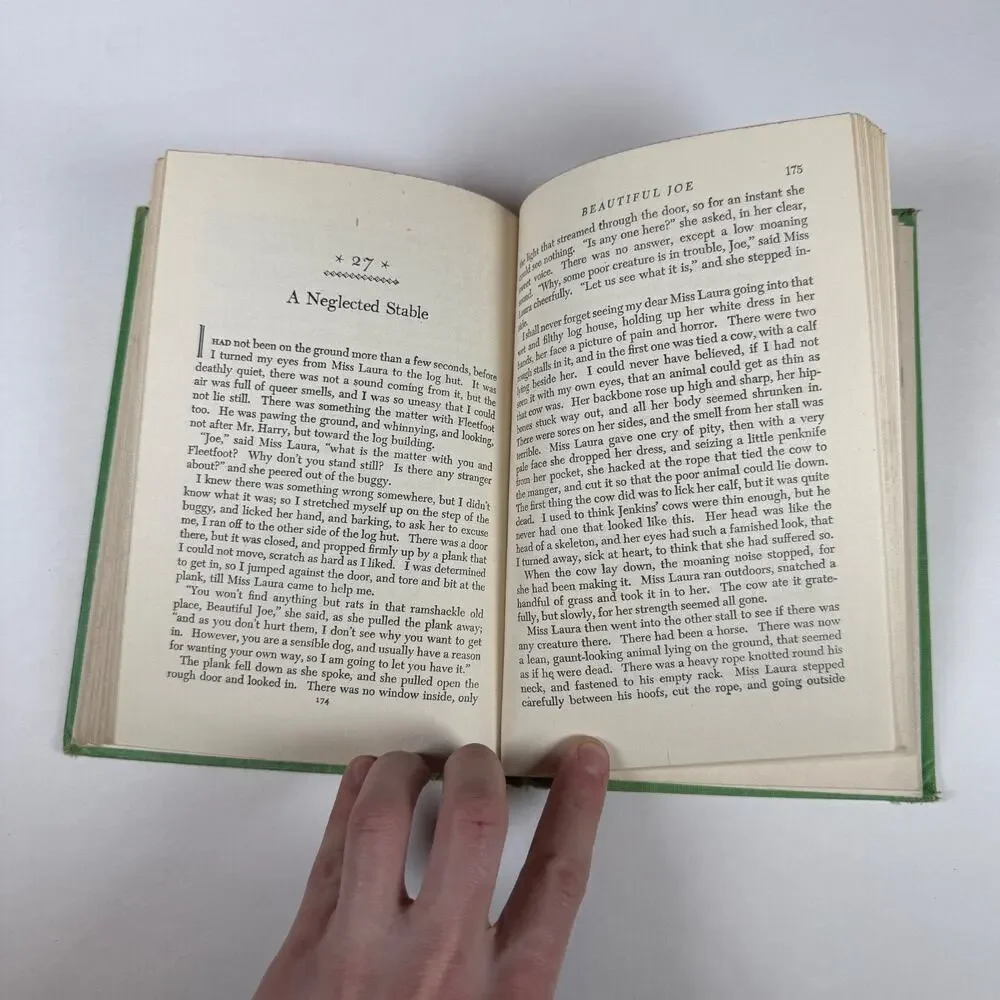 Beautiful Joe by Marshall Saunders 1920 Antique book